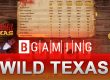 game Wild Texas