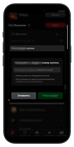 Ввод промокода