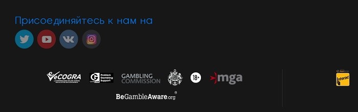 Кнопки социальных сетей