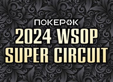 Серия WSOP Circuit